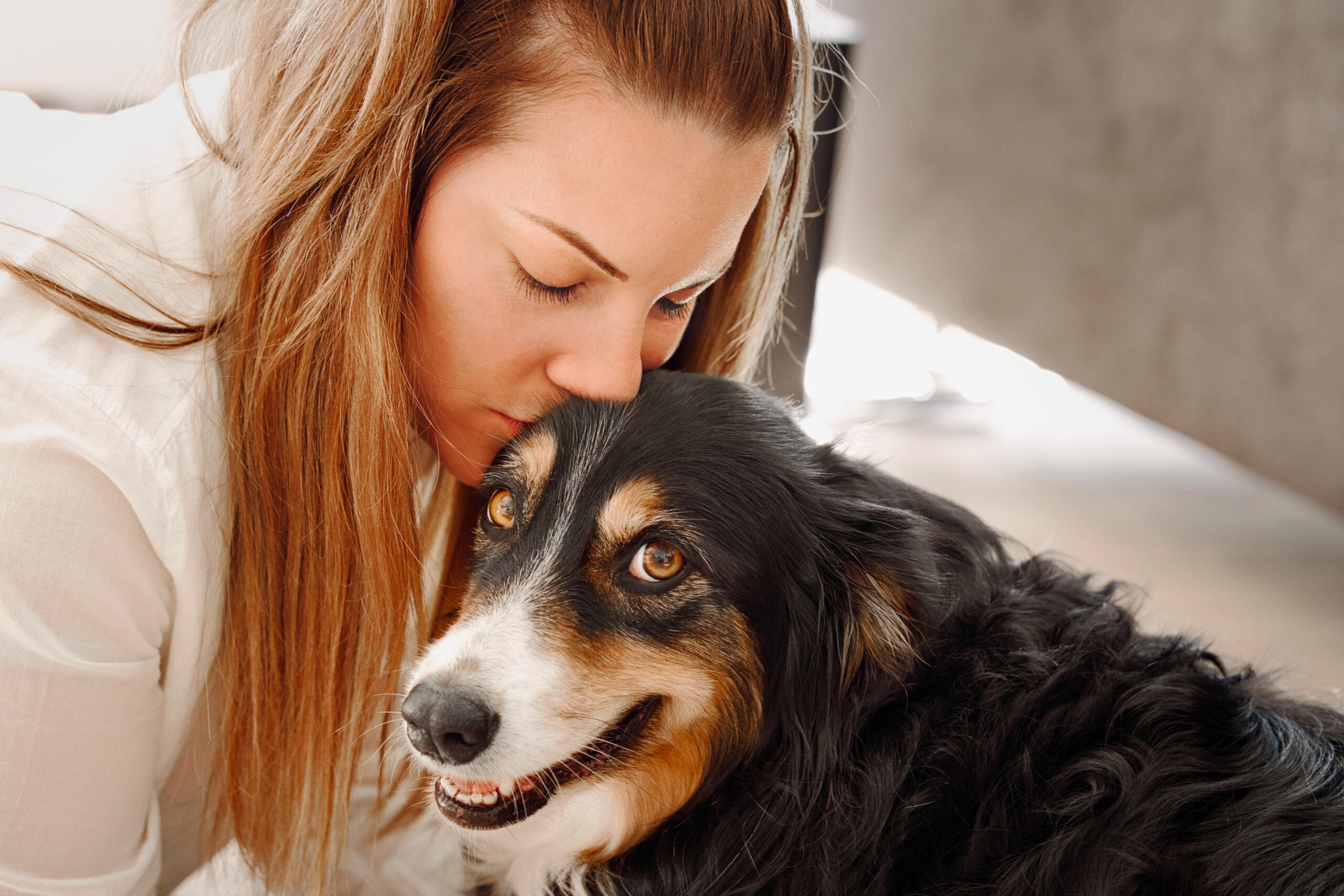 Fotosession indoor Hund Fotografiehandwerk