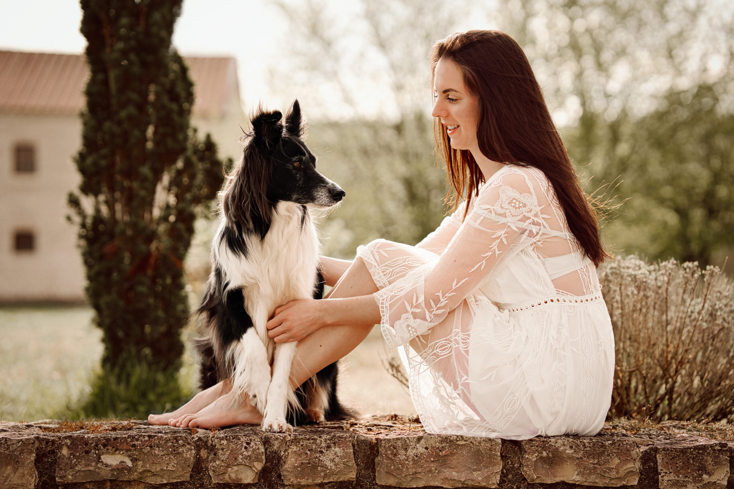 Fotosession outdoor Hund Fotografiehandwerk Fotosession outdoor Hund Fotografiehandwerk