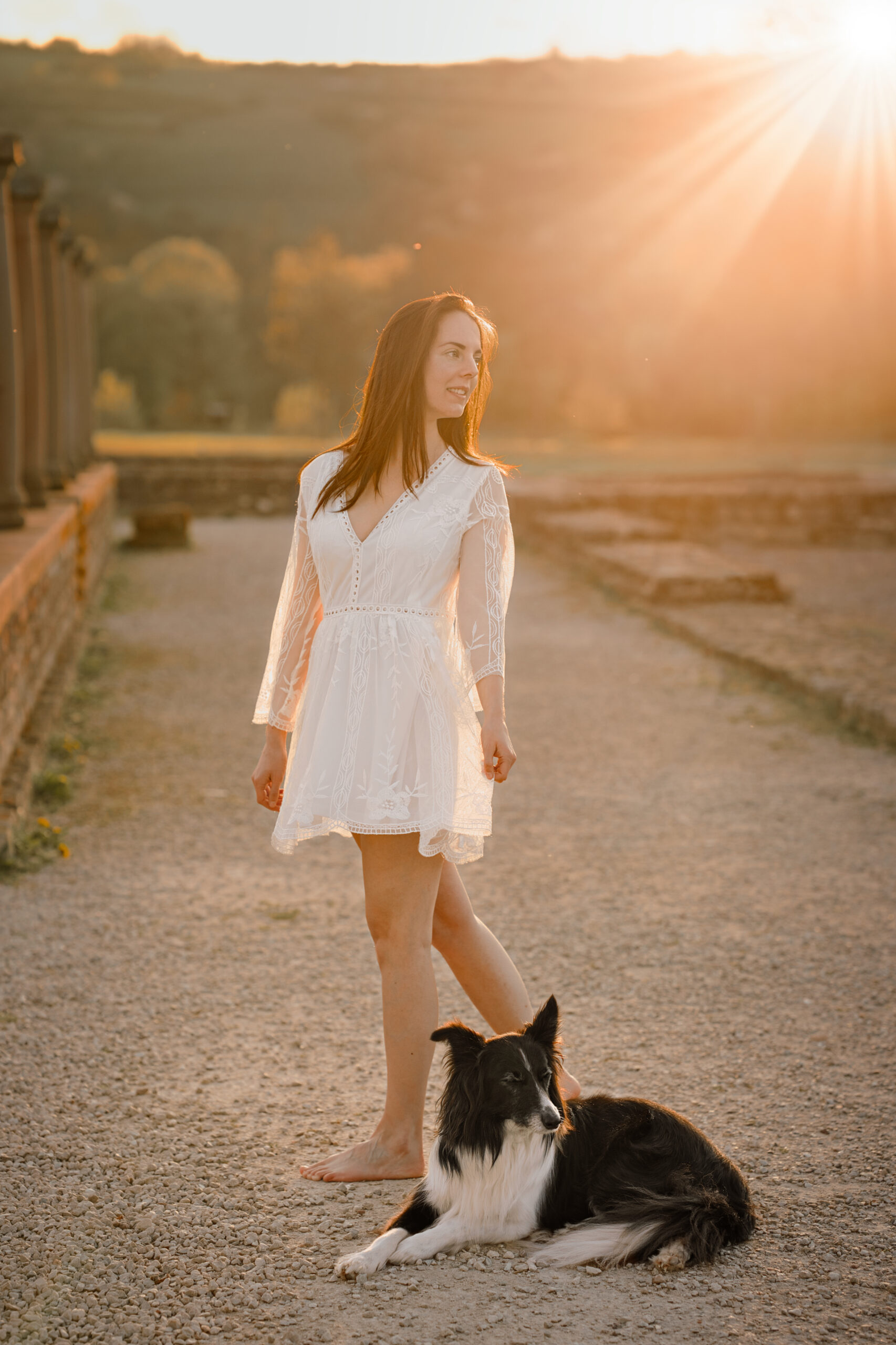 Fotosession outdoor Hund Fotografiehandwerk Fotosession outdoor Hund Fotografiehandwerk