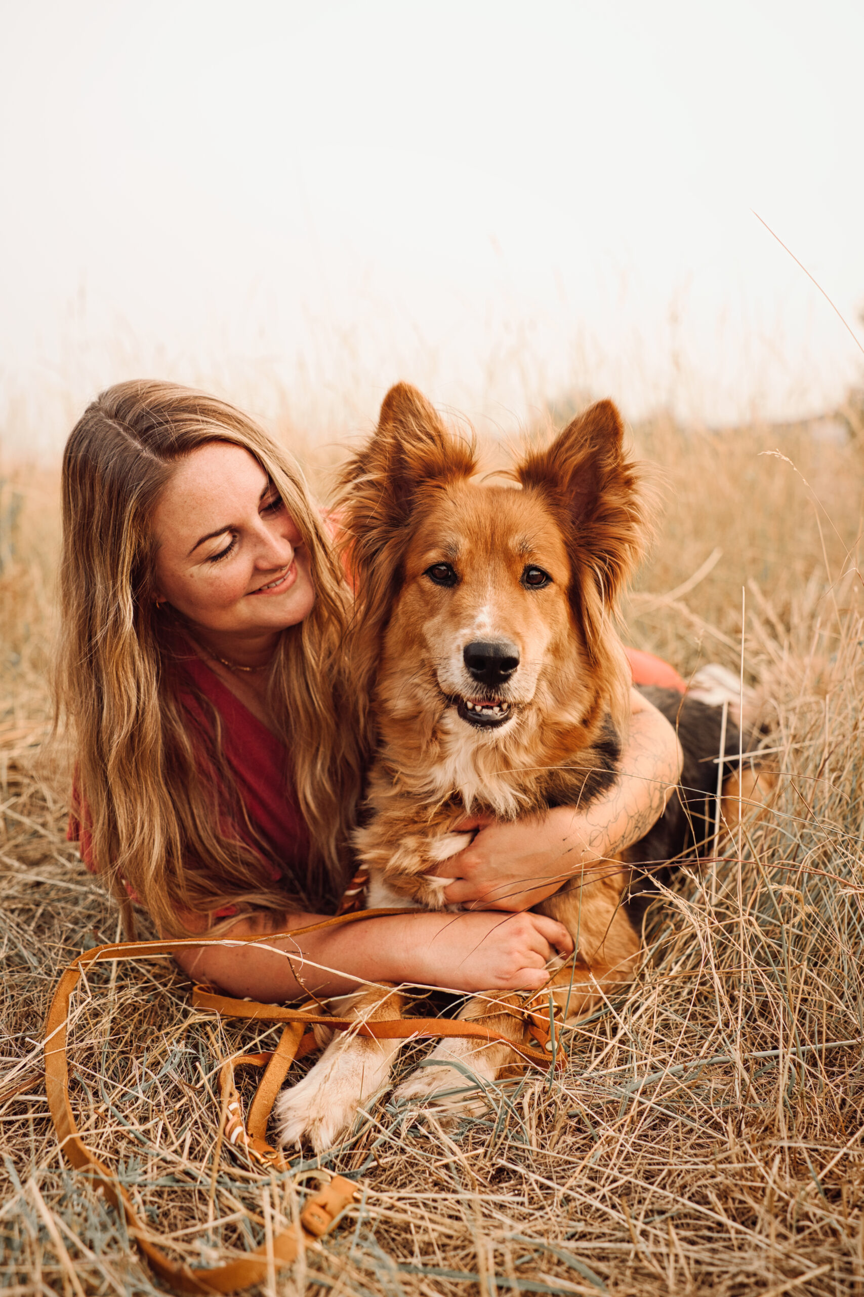 Fotosession indoor Hund Fotografiehandwerk